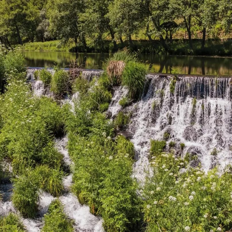 ribeira-da-pena ribeira da pena